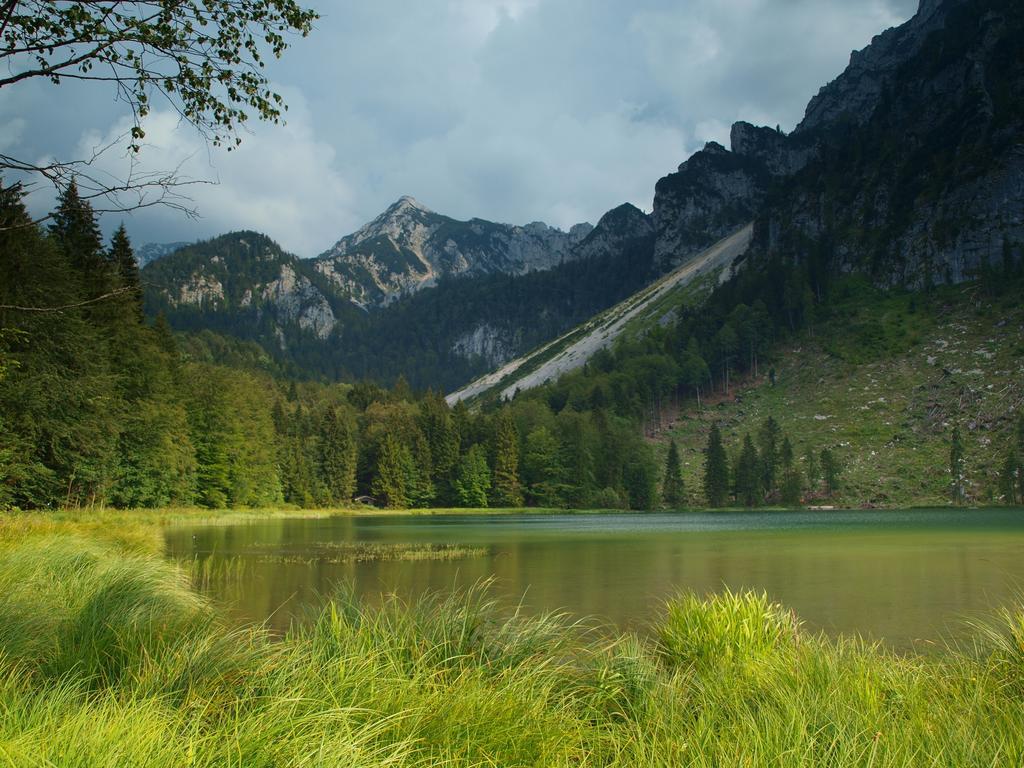 Hubertus Appartements Inzell Kültér fotó
