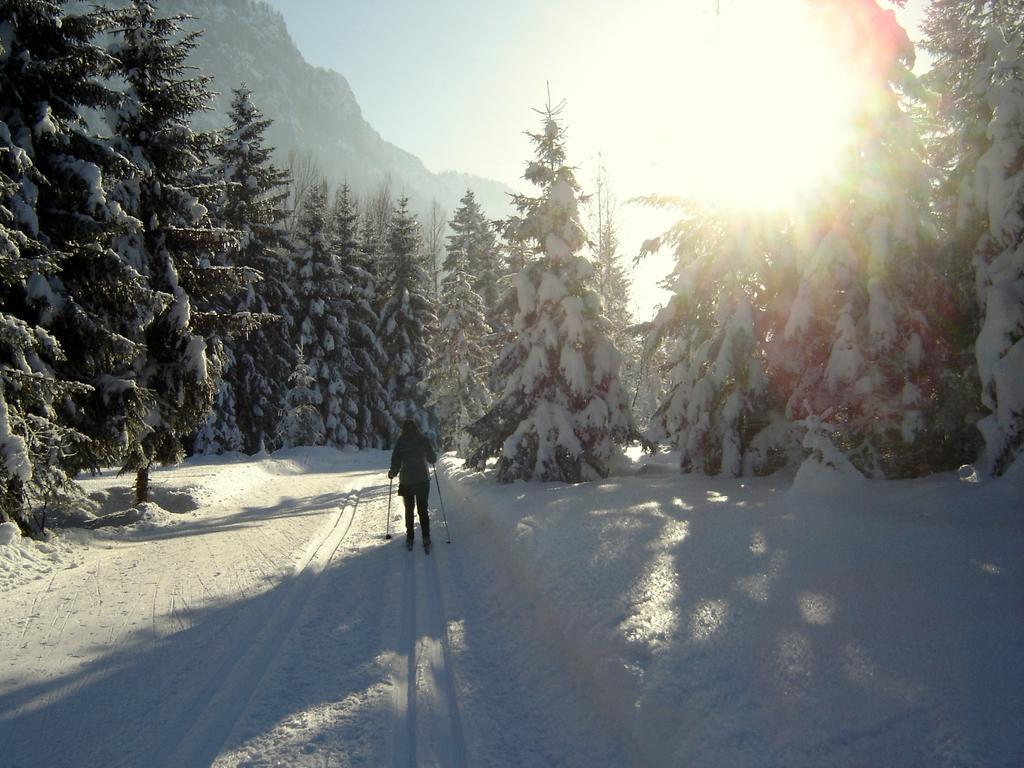 Hubertus Appartements Inzell Kültér fotó