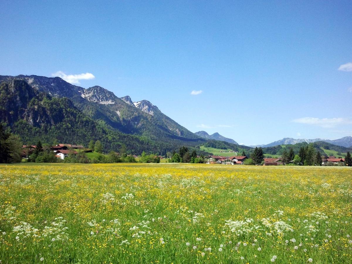 Hubertus Appartements Inzell Kültér fotó